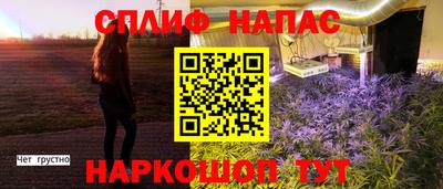 прущие крисы Будённовск