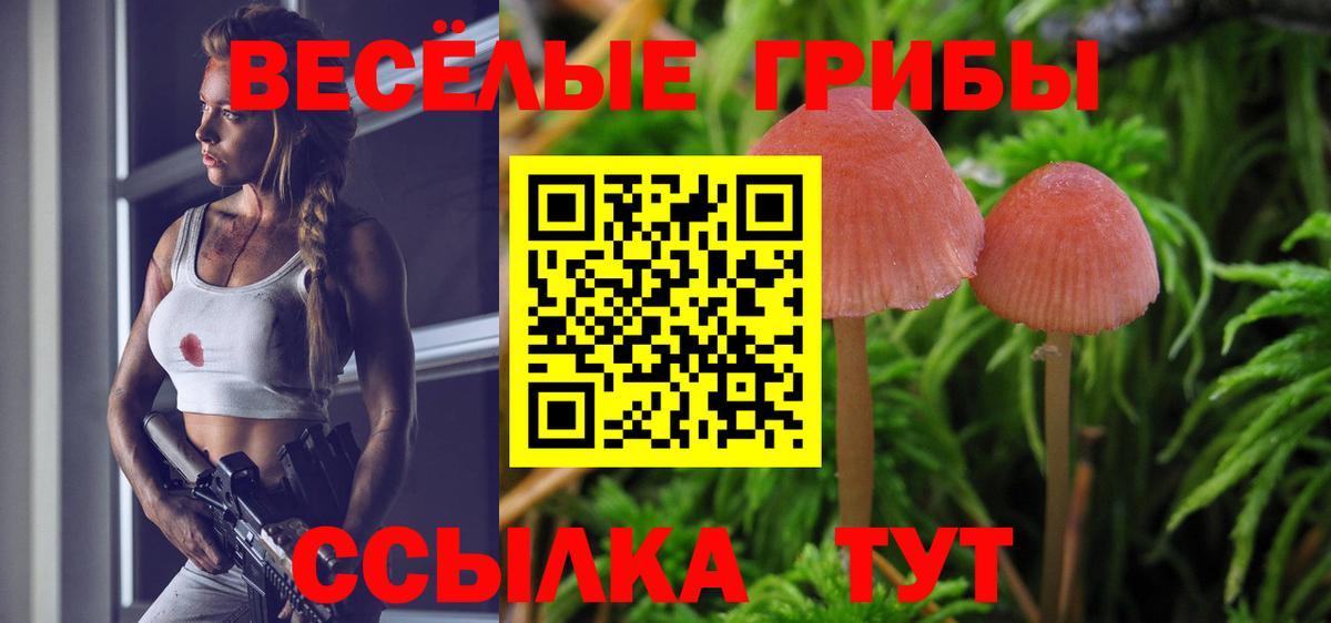 Псилоцибиновые грибы прущие грибы  Псилоцибиновые грибы ЛСД  Протвино  Вход с VPN 